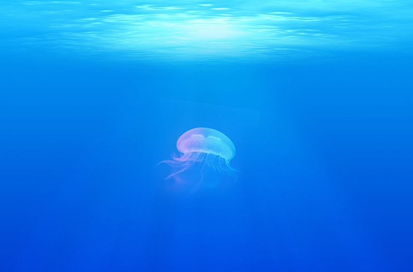 Fragrance expert to Ghassan Hajjaj on his top scents.