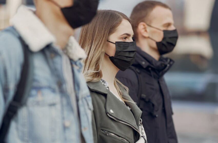 Nipah: doença cerebral com surto na Índia que pode causar nova pandemia