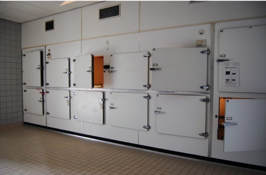 Corpo se mexe em necrotério e funcionária se assusta; especialista explica o que aconteceu