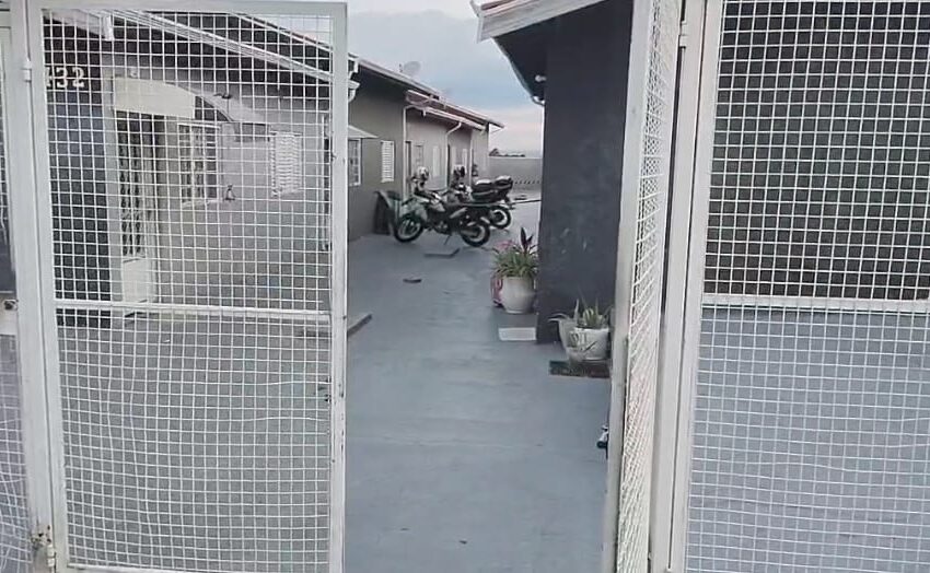  Mãe, filha e um cachorro são encontrados mortos em Indaiatuba