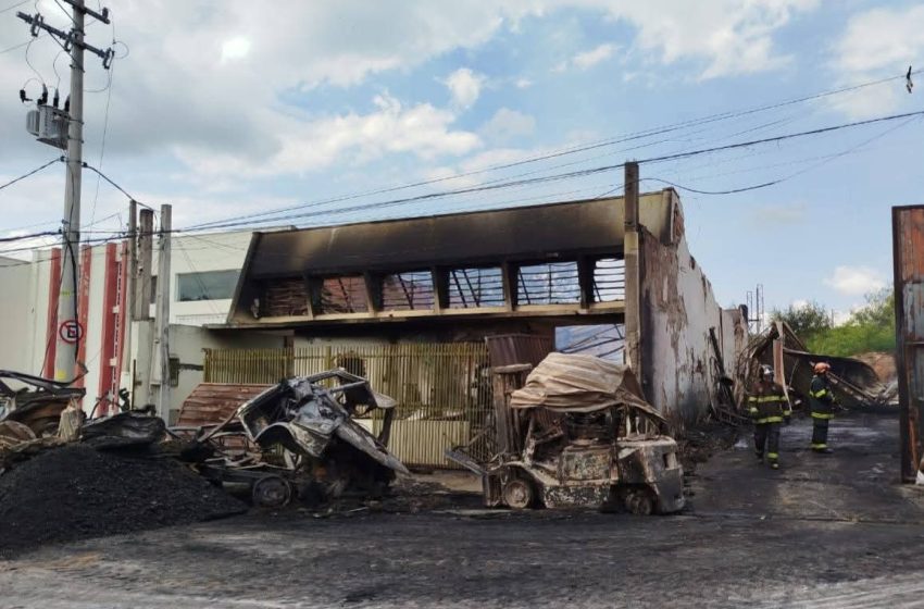 Quatro cães morreram em incêndio em galpão de madeira em Salto