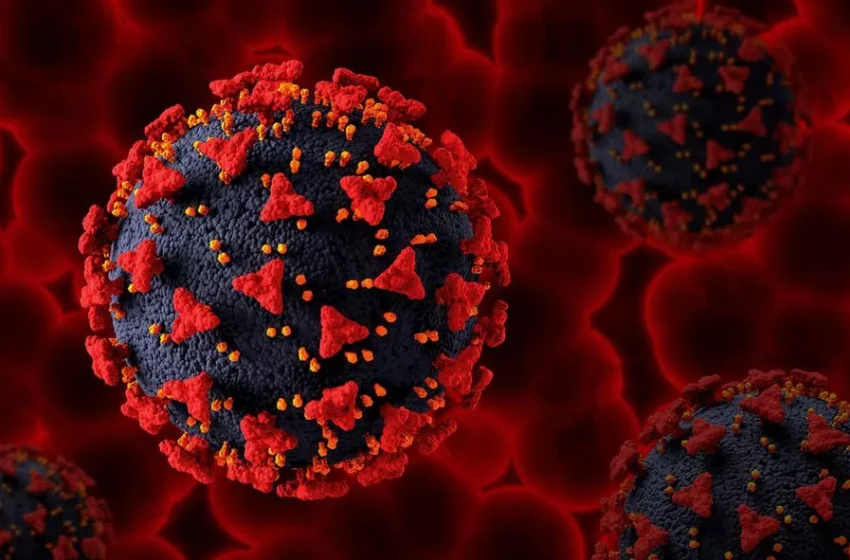 Hepatites virais podem evoluir sem sintomas