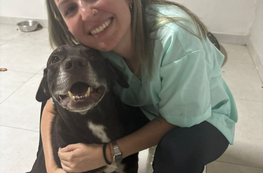 Aline Capelli Veterinária - Portal Rádio FM90