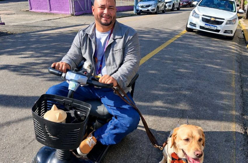  Cheddar: primeiro cãozinho de assistência da região ajuda no dia a dia do Bruno Tana