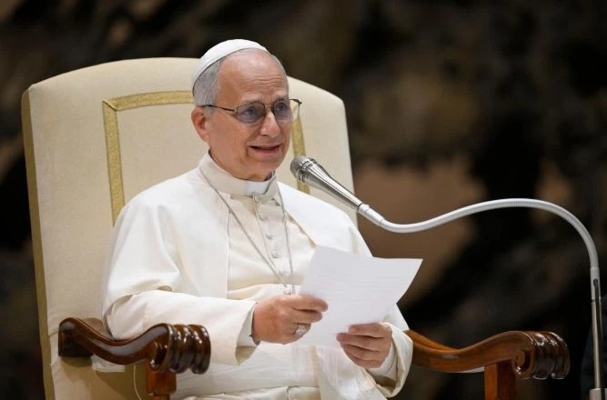  Papa Leão XIV cita Nossa Senhora Aparecida durante audiência no Vaticano